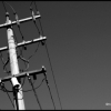 telegraph-pole1-jpg